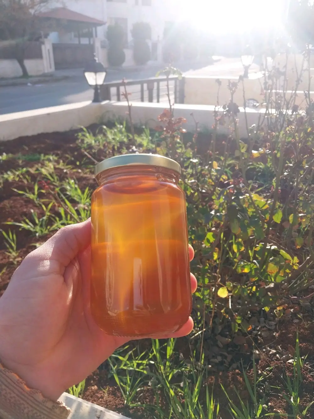 عسل حمضيات بلدي